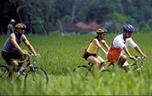 Bogmallo_Village_Cycling
